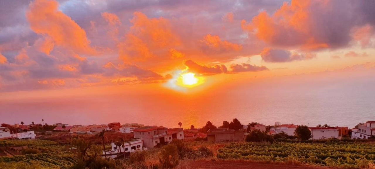 Villa La Casita La Matanza De Acentejo Εξωτερικό φωτογραφία